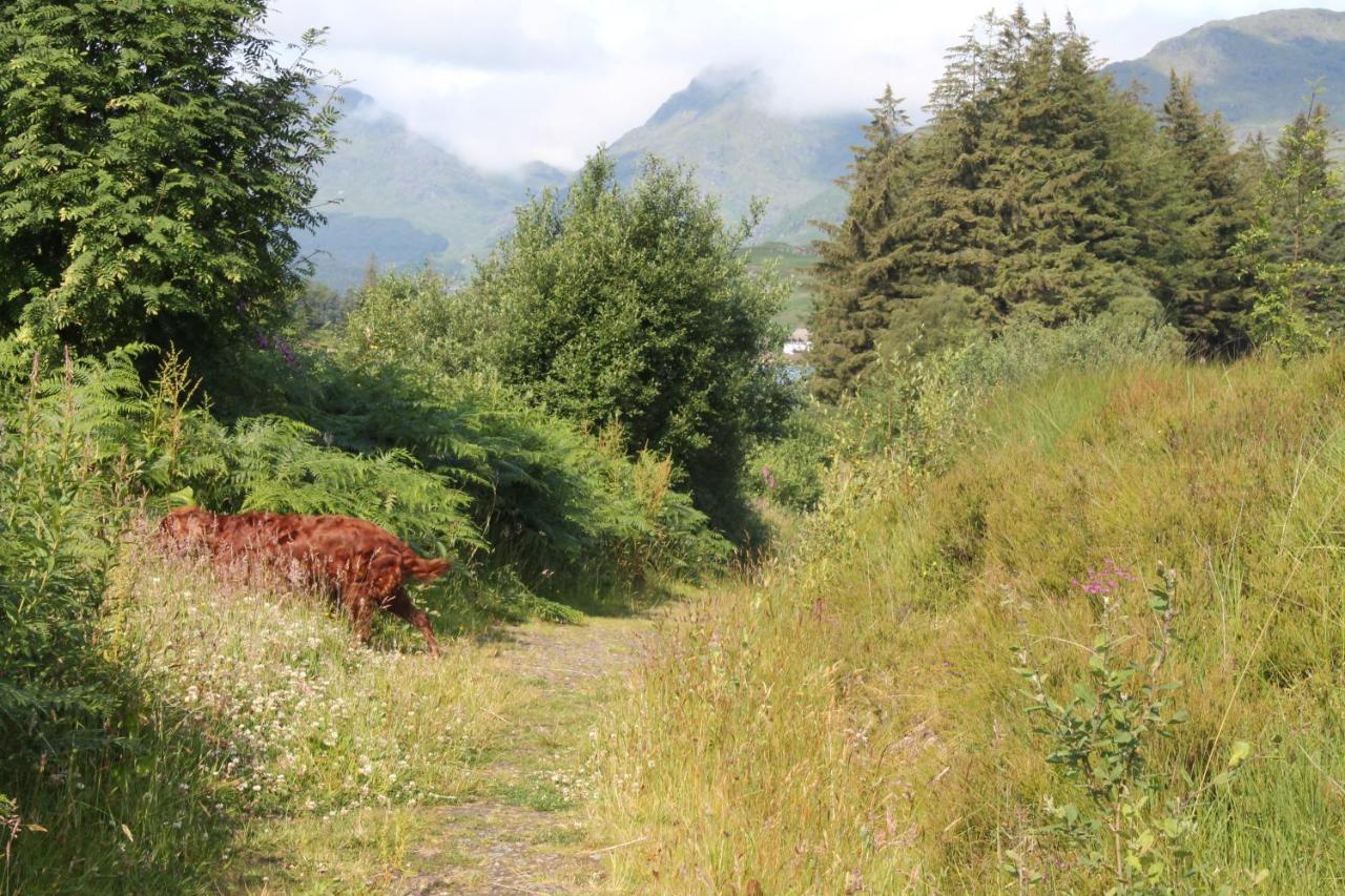 Bed and Breakfast Loch Arklet House Стерлинг Экстерьер фото